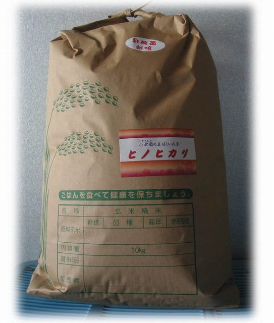 10kg玄米