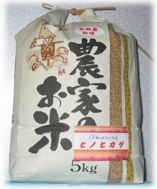5kg無洗米